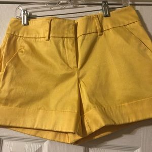 Ladies shorts size 6